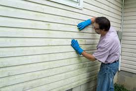 Trusted Northdale, FL Siding Experts